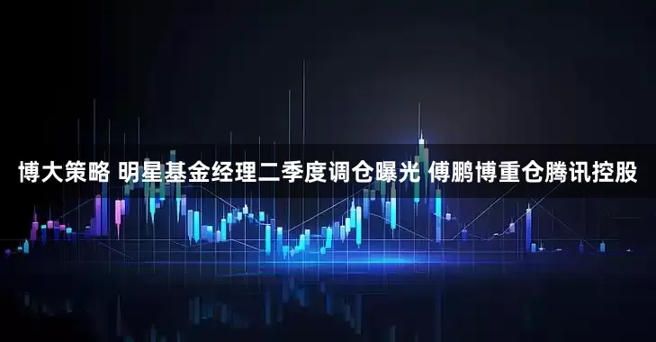 博大策略 明星基金经理二季度调仓曝光 傅鹏博重仓腾讯控股