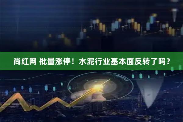 尚红网 批量涨停！水泥行业基本面反转了吗？