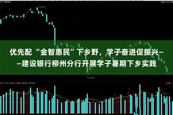 优先配 “金智惠民”下乡野,学子奋进促振兴——建设银行柳州分行开展学子暑期下乡实践