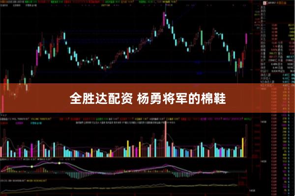 全胜达配资 杨勇将军的棉鞋